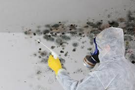 Mold Odor Removal Services in Intercourse, PA